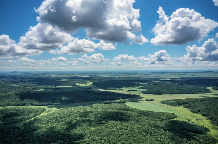 茂山林场